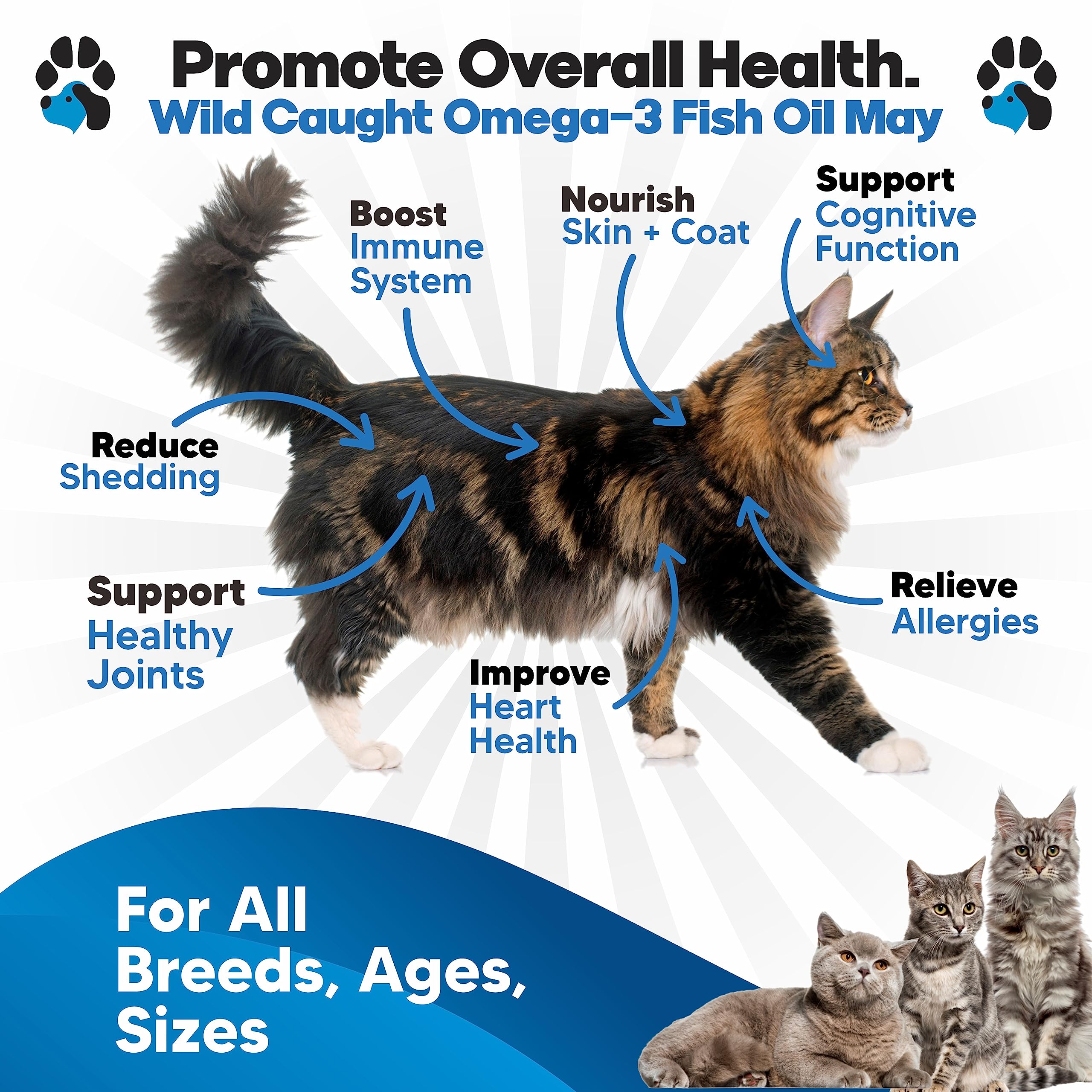 Omega 3 Fish Oil for Cats - Better Than Salmon Oil for Cats - Kitten + Cat Vitamins and Supplements - Cat Health Supplies - Cat